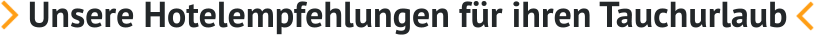 Unsere Hotelempfehlungen für ihren Tauchurlaub