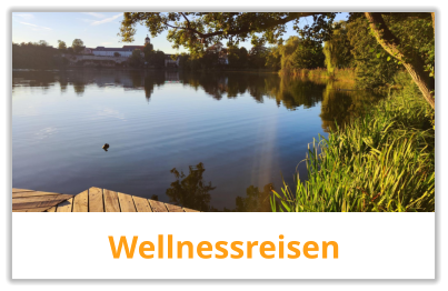 Wellnessreisen