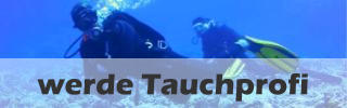 werde Tauchprofi