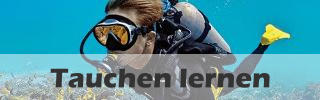 Tauchen lernen