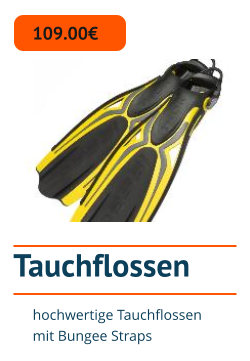 Tauchflossen 109.00€ hochwertige Tauchflossen mit Bungee Straps