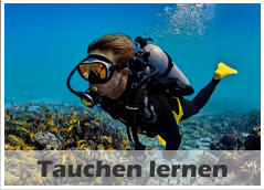 Tauchen lernen