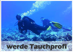 werde Tauchprofi