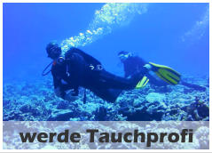 werde Tauchprofi