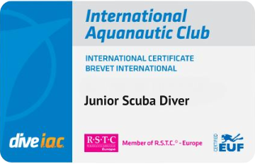 Junior Scuba Diver