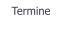 Termine